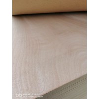 18mm雙桃整芯膠合板 二次成型多層板