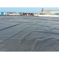 供應豬場沼氣池污水處理池氧化塘防滲土工膜