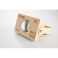 50W LED隧道燈 哪里生產(chǎn)隧道臺車防爆燈投光燈祥瑞照明