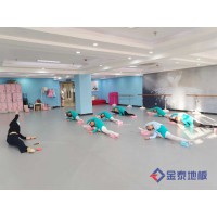 供應(yīng)廊坊舞蹈PVC地板