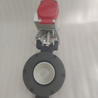 bray博雷閥門(mén) S40氣動(dòng)雙偏心蝶閥 進(jìn)口高性能蝶閥